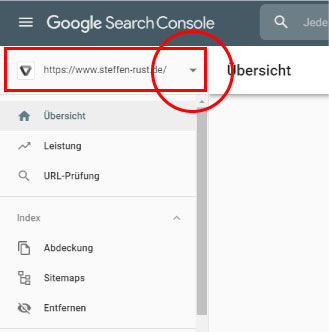 Menü search console