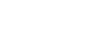 LMN Online Marketing Agentur | Lemon Monkey Network